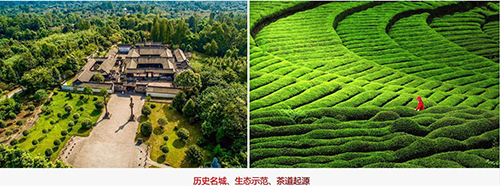 茶文化是歷史，設(shè)計(jì)源于何方
